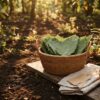 Woven basket of freshly harvested kratom leaves