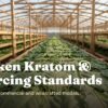 Geometric rows of botanical leaves drying on massive industrial racks, illustrating large-scale supply chains.
